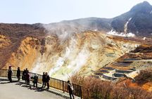 Tour to Mt. Fuji, Lake Ashi, Owakudani and Oshino Hakkai with Ropeway