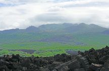 Maui Beach Parks Self-Guided Driving Tour