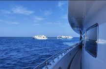Elite VIP snorkeling cruise in Port Ghalib from Marsa Alam