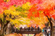 Tour to Mt. Fuji Area, Oshino Hakkai and Kawaguchi Lake from Tokyo