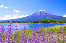 Tour to Mt. Fuji Area, Oshino Hakkai and Kawaguchi Lake from Tokyo