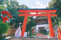 1-day tour to Kotoku-in, Hachimangu Shrine and Enoshima from Tokyo