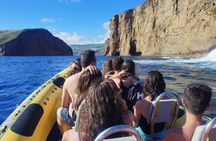 Goat islets guided boat tour from Terceira