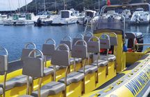 Goat islets guided boat tour from Terceira