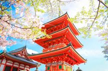 1-day tour to Kyoto and Nara Park from Osaka