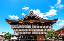 1-day tour to Kyoto and Nara Park from Osaka