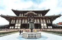 1-day tour to Kyoto and Nara Park from Osaka
