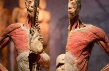 Tickets for Real Bodies Exhibition