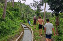Bohol hidden waterfalls guided excursion