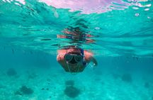 Pamilacan Island guided excursion from Bohol