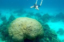 1-day tour to Koh Tao and Nang Yuan with lunch from Koh Pha Ngan