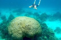 1-day shared tour to Koh Tao and Nang Yuan with lunch from Koh Samui