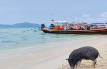 Private Half-Day Longtail Boat Tour to Koh Mat Sum from Koh Samui