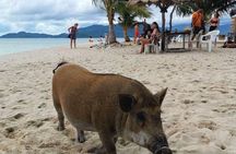 Private Half-Day Longtail Boat Tour to Koh Mat Sum from Koh Samui