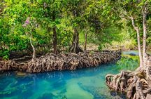 Transfers and private car tour of Krabi from Koh Phi Phi