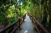 Transfers and private car tour of Krabi from Koh Phi Phi
