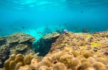 7-hour private longtail boat excursion in Koh Phi Phi