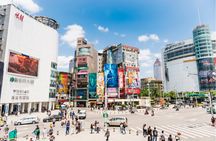 Ximending area 2 hours walking tour with a private guide