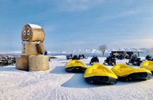 Guided Trip to Asahiyama Zoo, Furano, Biei Blue Pond, Ningle Terrace