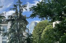 Brussels sightseeing private walking tour