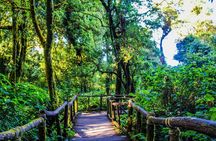 Chiang Mai - Doi Inthanon full day tour