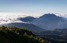 Chiang Mai - Doi Inthanon full day tour