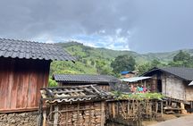 Chiang Rai White Temple and Hill Tribe Village tour from Chaing Mai