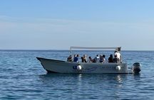 Ortigia Island and sea caves 1-hour boat tour