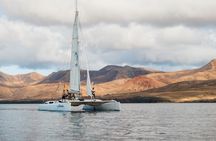 Lanzarote sunset cruise with dolphin watching
