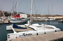 Private sunset cruise with dolphin watching in Lanzarote