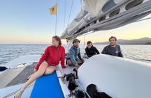 Private sunset cruise with dolphin watching in Lanzarote