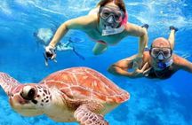 Bali Blue Lagoon snorkeling excursion with Tegenungan Waterfall