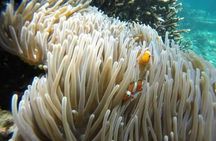 Bali Blue Lagoon snorkeling excursion with Tegenungan Waterfall