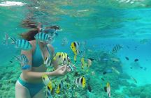 Bali Blue Lagoon snorkeling guided tour with transport and lunch