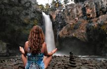 Best Ubud tour with Tirta Empul, Batuan Temple, Ubud Market, Rice Terrace