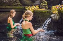 Best Ubud tour with Tirta Empul, Batuan Temple, Ubud Market, Rice Terrace