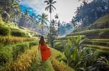 Best Ubud tour with Tirta Empul, Batuan Temple, Ubud Market, Rice Terrace