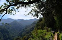 Full-day Levada do Rei walking tour to Ribeiro Bonito