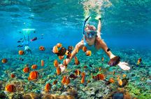 Bali Blue Lagoon snorkeling with transport and lunch