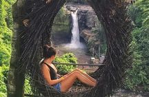 Full-day scenic Ubud and Kintamani Volcano tour