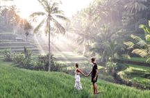 Full-day scenic Ubud and Kintamani Volcano tour