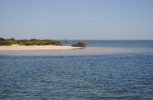 Ria Formosa 1-hour boat tour