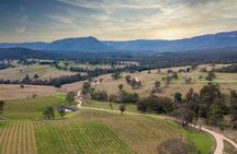 Megalong Valley winery tour with tasting and lunch