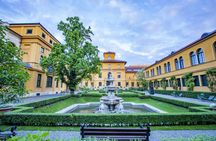 Walking tour of Munich with a local