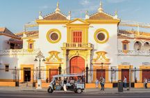 1-hour express tour of Seville in a private electric tuk-tuk