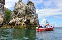 Howth coastal 1-hour boat tour