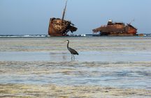 4x4 tour with soft hiking experience and BBQ from Sharm El Sheikh