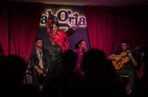 1-hour flamenco show at Malaga's Alegría