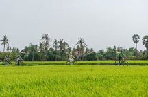 Half-day cycling tour in Siem Reap