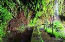 Full-day Levada do Rei walking tour to Ribeiro Bonito